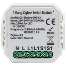 Module 1 Gang